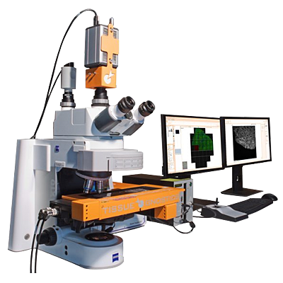 TissueFAXS Spectra 多光谱系列