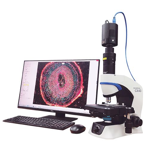 显微镜自动聚焦系统