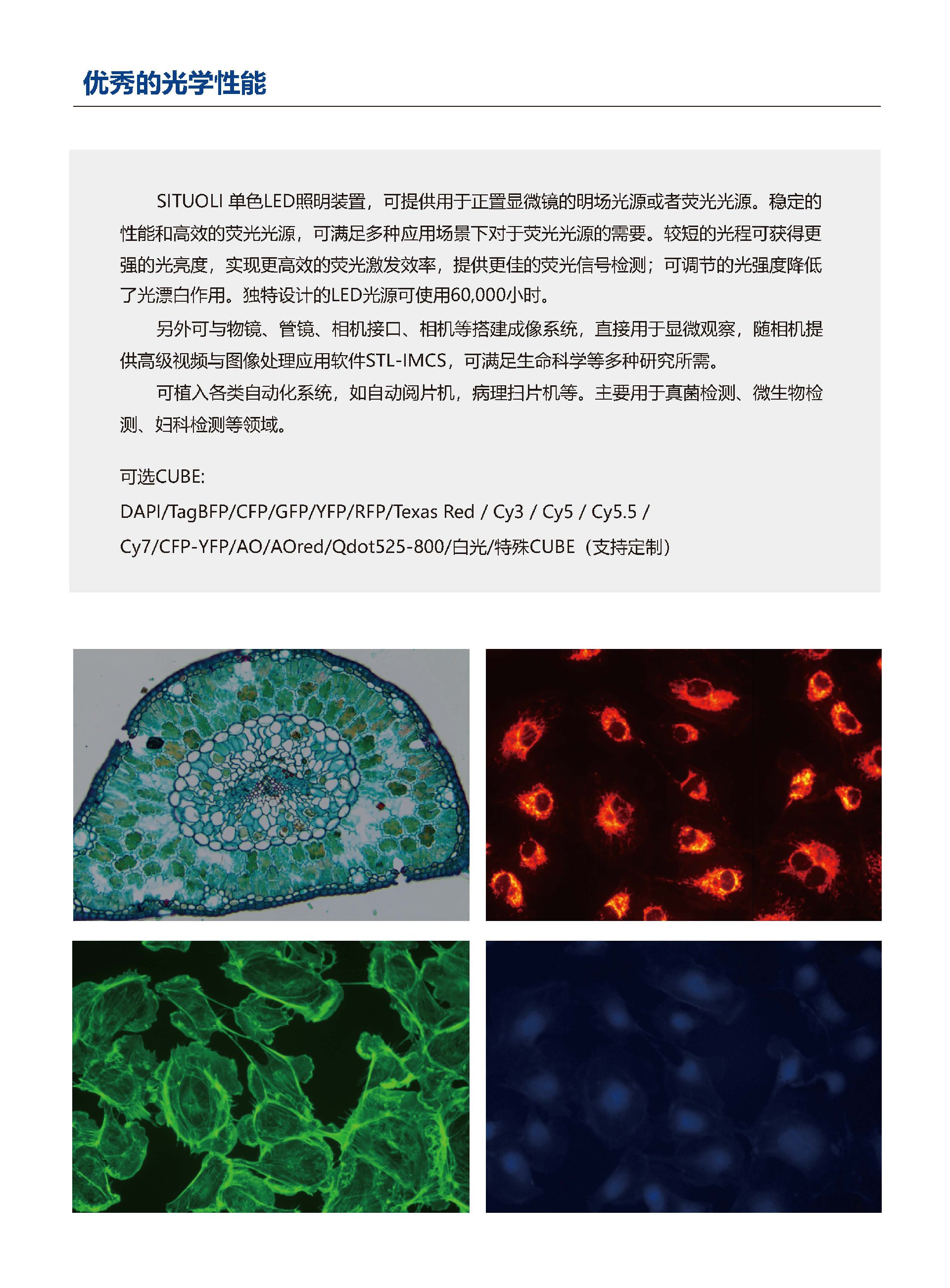 STL-MOFL单色LED荧光模块_页面_2.jpg